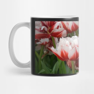 tulips Mug